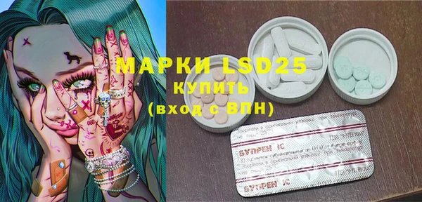 ПСИЛОЦИБИНОВЫЕ ГРИБЫ Горнозаводск