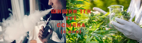 ПСИЛОЦИБИНОВЫЕ ГРИБЫ Горнозаводск