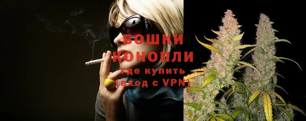 молекула духа Горняк