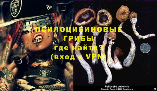 ПСИЛОЦИБИНОВЫЕ ГРИБЫ Горнозаводск