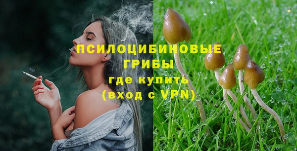 ПСИЛОЦИБИНОВЫЕ ГРИБЫ Горнозаводск
