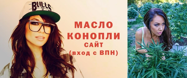 молекула духа Горняк