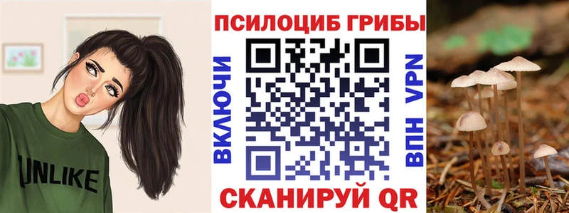 купить наркотик  omg как войти  Псилоцибиновые грибы мухоморы  Чёрмоз 